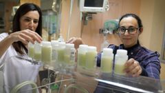  Alba Snchez Ansede, enfermera peditrica y responsable del programa de   lactancia materna, con una donante en el banco de leche del Hospital Teresa Herrera de A Corua, el materno del Chuac 