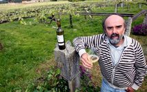 Solo los vi�edos se interponen entre el mar y la bodega de Alberto Nanclares, junto a la desembocadura del Umia.