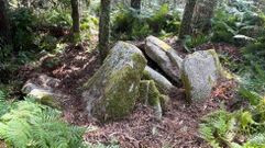 Vista del dolmen A Mina de Caxadas