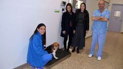 Personal del Rof Codina que trabaja en el proyecto contra la obesidad en mascotas.