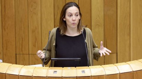 Noa D�az durante una intervenci�n en el Parlamento de Galicia