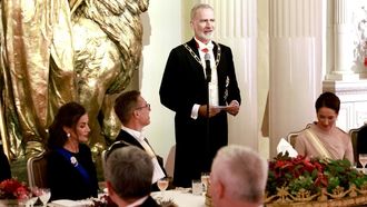Felipe VI, durante su discurso en la cena de gala ofrecida en el palacio presidencial de Helsinki