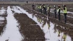 Quinto batalln de la UME de Len en labores de bsqueda de cuerpos arrastrados por las riadas entre los arrozales de Alfafar (Valencia).