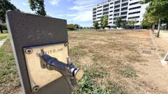 Jardines secos por falta de riego en el parque de Tafisa, en Pontevedra