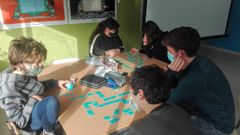 Imagen de los alumnos de Castrelo de Mi�o trabajando en el proyecto de la anterior edici�n del concurso
