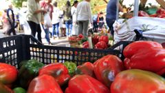 Las verduras mari�anas (en la foto, un mercado) son muy apreciadas por consumidores locales y por visitantes.
