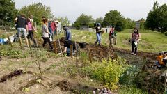 Imagen de archivo de un grupo de j�venes trabajando la huerta
