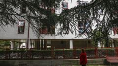 El �rbol en la calle Luis Trabazos que entra en las casas