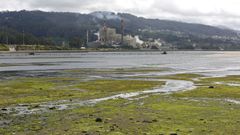 F�brica de Ence a orillas de la r�a de Pontevedra