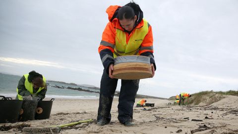 TRABAJADORES CONTRATADOS POR LA ARMADORA DEL TOCONAO LIMPIAN LA PLAYA DE O CASTRO DE PELETS