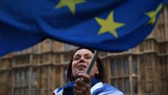Una manifestante a favor de la permanencia en la Uni�n Europea ondea una bandera en el exterior del Parlamento brit�nico