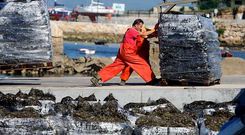 Bateeiros arousanos devuelven al mar mejill�n que retornaron los camiones que hab�an puesto rumbo a Francia e Italia.