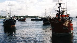Imagen de la flota palangrera de Ribeira, en 1996