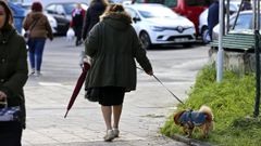 Una mujer paseando a un perro.