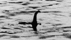 Nessie 2.Foto tomada en 1914, que luego demostr� ser un fraude.