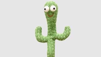 Imagen del cactus bailarn