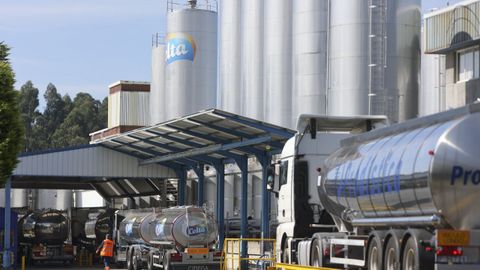 Instalaiones actuales de Leite Celta en Pontedeume