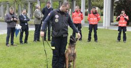 El grupo de Perros de Rescate estradense realiz� una amplia exhibici�n ayer en la Agasp. 