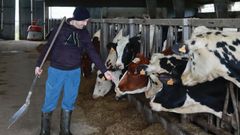 And�n, en su explotaci�n, espera empezar a trabajar en sus terrenos agrupados.