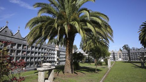 Cementerio de Cerqueda, en Malpica