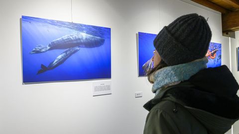 El p�blico puede disfrutar de esta muestra desde el punto de vista est�tico pero tambi�n divulgativo