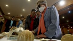 Una treintena de personas ciegas descubren el fondo marino a trav�s del tacto