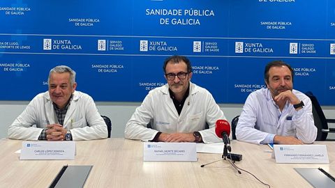 Directivos del Servizo Galego de Sade ofrecieron ayer datos asistenciales sobre la rea sanitaria Lugo, A Maria, Monforte