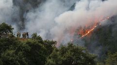 Incendio de este verano en Ribadavia