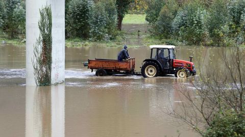 Ganaderos en la zona inundada a causa del desbordamiento del r�o Nal�n a su paso por Pravia