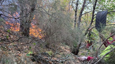 Imágen del incendio en el entorno del Teixadal de Casaio