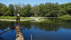 Propuestas para huir del calor