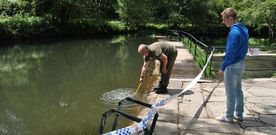 Los an�lisis tomados ayer en la playa fluvial de A Calzada facilitar�n datos para determinar el origen del vertido. 