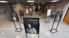 La exposici�n �A pel como testemu�o� se puede visitar desde este martes y durante todo el mes de enero en el Hospital Montecelo, en Pontevedra