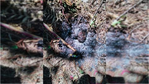 Un vecino de Crecente alerta de que ha encontrado un artefacto inflamable en el monte donde se produjo un incendio. En una de las fotos se puede ver un mechero amarillo