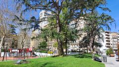 Uno de los �rboles en peligro est� justo al lado del parque infantil.