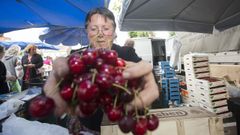 �B�scate en la Festa das Cereixas de Paiosaco!