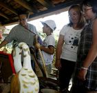 La feria de artesan�a en Agolada.
