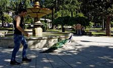 <span lang= es-es >Imagen cotidiana</span>. La presencia de pavos reales en el jard�n de O Pos�o es una estampa familiar en Ourense. Forma parte de la historia de muchos ourensanos. Desde hace m�s de cincuenta a�os han dado vida a esta zona verde la ciudad, conviviendo con normalidad entre la gente.