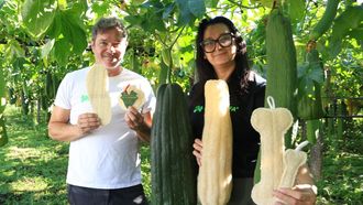 Carlos Mascato, gerente de Iberluffa, y Miriam Mari�o, responsable de comunicaci�n y marketing, junto a la plantaci�n de luffas. 