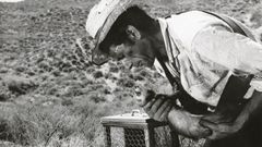 Fotograma del filme �La caza� (1966).