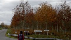 El Cami�o Primitivo se zambulle en el oto�o