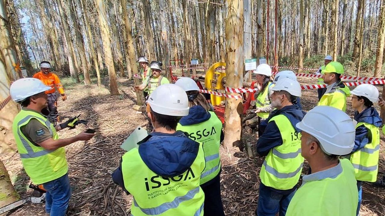Ence Terra forma a más de 70 motoserristas de Galicia, Asturias y Cantabria como parte de su apuesta por la seguridad forestal