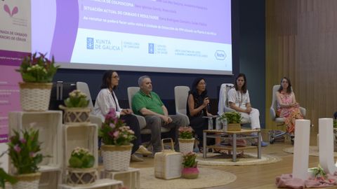 La ginecóloga Sara Iglesias; el anatomopatólogo José Luis Rey; Dolores Basanta, subdirectora de Prestación Farmacéutica; María José Gude, del laboratorio de Microbioloxía y la matrona Esher Martínez, en las jornadas sobre el cribado de cáncer de cérvix en el HULA.