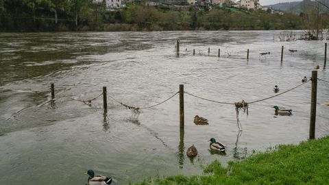 Termas de A Chavasqueira bajo el agua