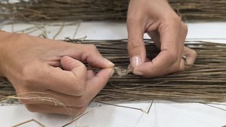Fibras de lino