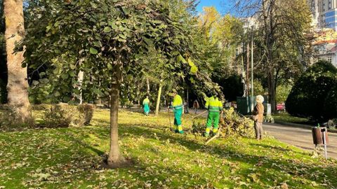 Decenas de trabajadores retiraban ramas y el mar de hojas que el viento dej� sobre el c�sped del Campo.