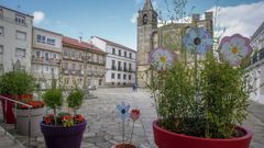 Flores que adornan las calles de Barbanza