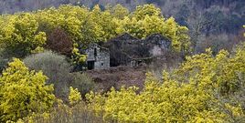 Sona (en la imagen) es uno de los 14 pueblos abandonados que hay en el Concello de O Carballi�o, seg�n los datos del Instituto Nacional de Estad�stica.