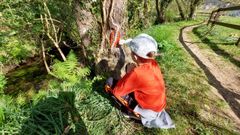 La Ruta das Fadas en Xove, un recorrido literalmente �de cuento�