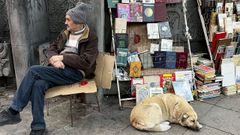 En Georgia, los perros callejeros llevan un chip visible que confirma que est�n vacunados y esterilizados